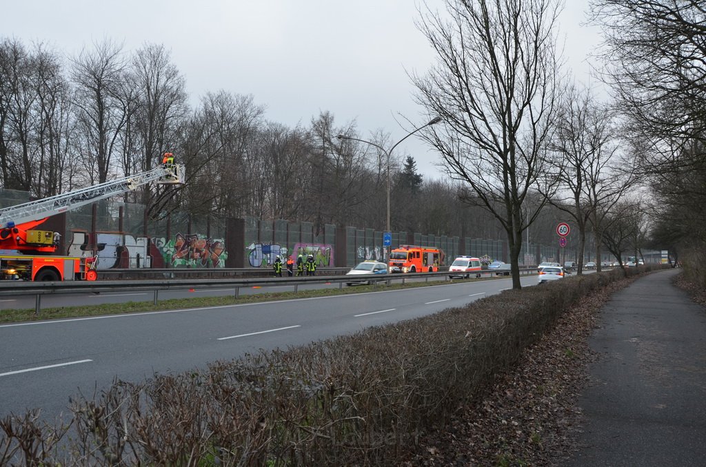 Einsatz BF Baum Koeln Vingst Vingster Ring P13.JPG - Miklos Laubert